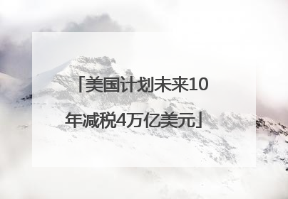 美国计划未来10年减税4万亿美元