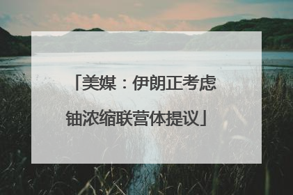 美媒：伊朗正考虑铀浓缩联营体提议