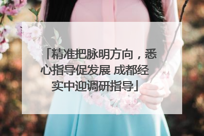 精准把脉明方向，悉心指导促发展 成都经实中迎调研指导