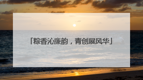 粽香沁廉韵，青创展风华