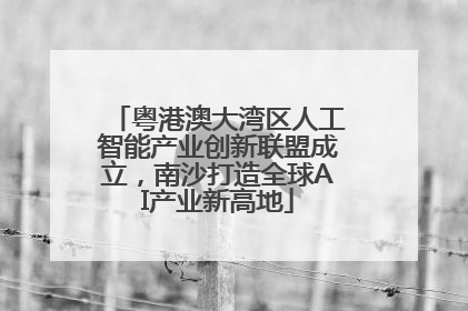 粤港澳大湾区人工智能产业创新联盟成立，南沙打造全球AI产业新高地