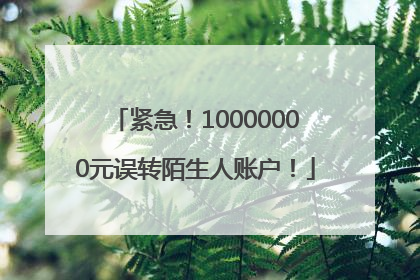 紧急！10000000元误转陌生人账户！