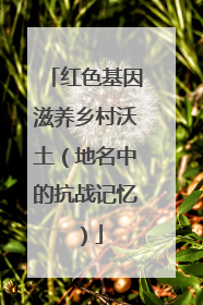 红色基因滋养乡村沃土（地名中的抗战记忆）