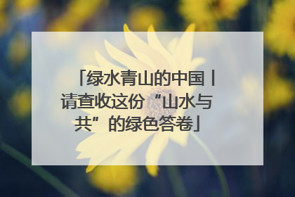 绿水青山的中国丨请查收这份“山水与共”的绿色答卷