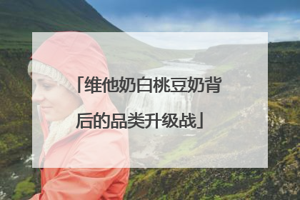 维他奶白桃豆奶背后的品类升级战