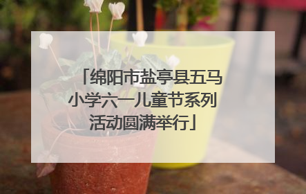 绵阳市盐亭县五马小学六一儿童节系列活动圆满举行