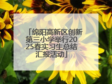 绵阳高新区创新第三小学举行2025春实习生总结汇报活动