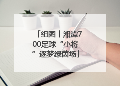 组图丨湘潭700足球“小将”逐梦绿茵场
