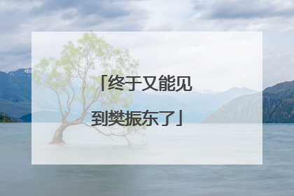 终于又能见到樊振东了
