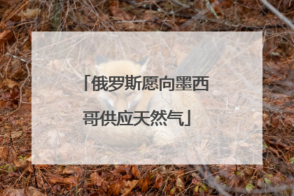 俄罗斯愿向墨西哥供应天然气