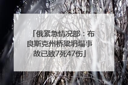 俄紧急情况部：布良斯克州桥梁坍塌事故已致7死47伤