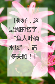 你好，这是我的名字“鱼人叶硝水母”，请多关照！