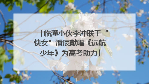 临潼小伙李冲联手“快女”潘辰献唱《远航少年》为高考助力