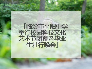 临汾市平阳中学举行校园科技文化艺术节闭幕暨毕业生壮行晚会