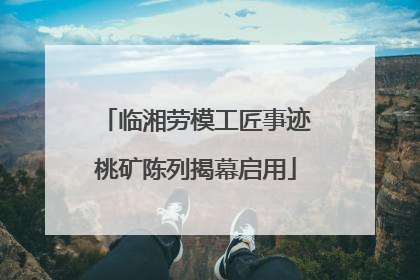临湘劳模工匠事迹桃矿陈列揭幕启用