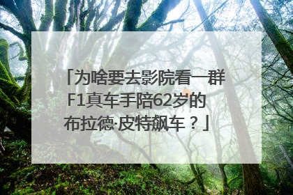 为啥要去影院看一群F1真车手陪62岁的布拉德·皮特飙车？