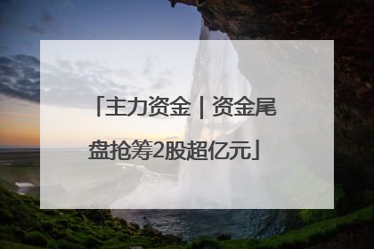 主力资金｜资金尾盘抢筹2股超亿元
