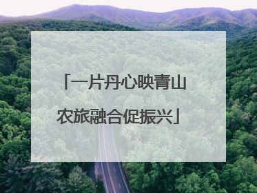 一片丹心映青山 农旅融合促振兴