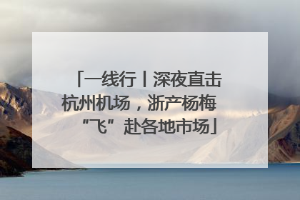 一线行丨深夜直击杭州机场，浙产杨梅“飞”赴各地市场