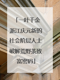一叶千金 浙江庆元新的社会阶层人士破解荒野茶致富密码