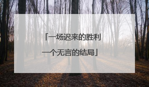 一场迟来的胜利 一个无言的结局