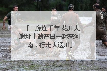 一廊连千年 花开大遗址丨遗产日一起来河南，行走大遗址