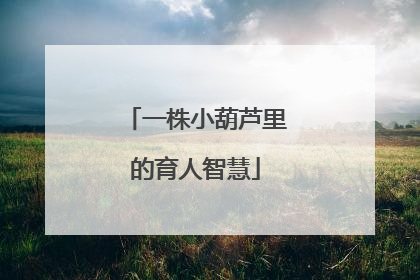 一株小葫芦里的育人智慧