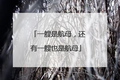 一艘是航母，还有一艘也是航母