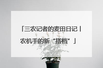 三农记者的麦田日记丨农机手的新“搭档”