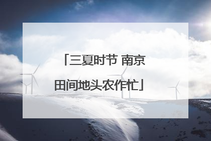 三夏时节 南京田间地头农作忙