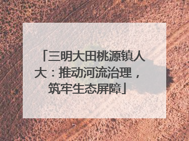 三明大田桃源镇人大：推动河流治理，筑牢生态屏障