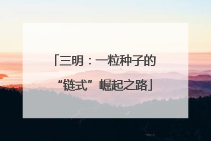 三明：一粒种子的“链式”崛起之路