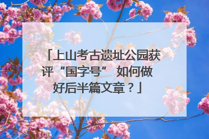 上山考古遗址公园获评“国字号” 如何做好后半篇文章？