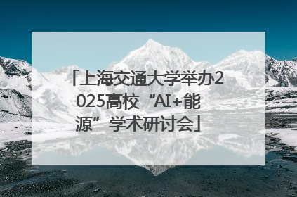 上海交通大学举办2025高校“AI+能源”学术研讨会