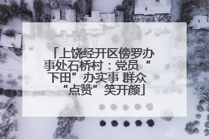上饶经开区傍罗办事处石桥村：党员“下田”办实事 群众“点赞”笑开颜