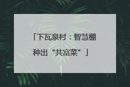 下瓦泉村：智慧棚种出“共富菜”