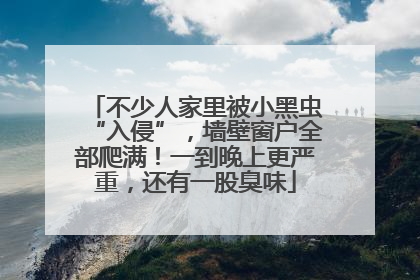 不少人家里被小黑虫“入侵”，墙壁窗户全部爬满！一到晚上更严重，还有一股臭味