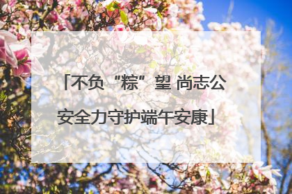 不负“粽”望 尚志公安全力守护端午安康