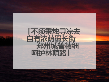 不须秉烛寻凉去 自有浓荫覆长街——郑州城管精细呵护林荫路