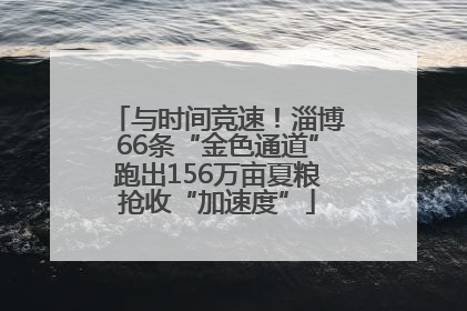 与时间竞速！淄博66条“金色通道”跑出156万亩夏粮抢收“加速度”