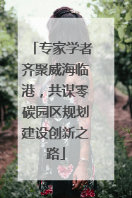 专家学者齐聚威海临港，共谋零碳园区规划建设创新之路