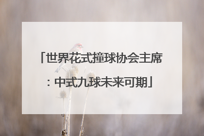 世界花式撞球协会主席：中式九球未来可期