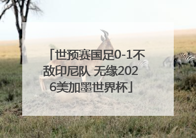 世预赛国足0-1不敌印尼队 无缘2026美加墨世界杯