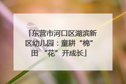 东营市河口区湖滨新区幼儿园：童耕“棉”田 “花”开成长
