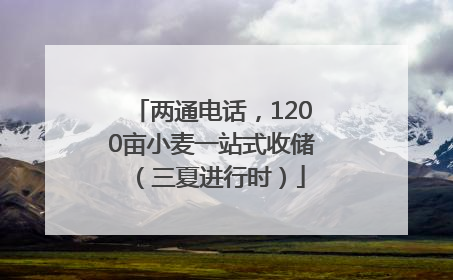 两通电话，1200亩小麦一站式收储（三夏进行时）