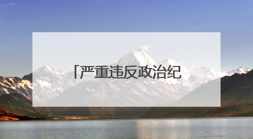 严重违反政治纪律、组织纪律、廉洁纪律、工作纪律和生活纪律的罗璇，非法收受他人巨额财物