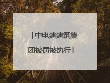 中电建建筑集团被罚被执行
