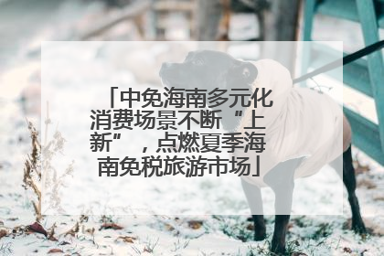 中免海南多元化消费场景不断“上新”，点燃夏季海南免税旅游市场