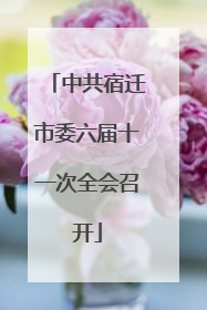 中共宿迁市委六届十一次全会召开