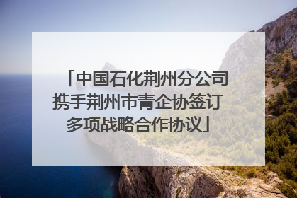 中国石化荆州分公司携手荆州市青企协签订多项战略合作协议